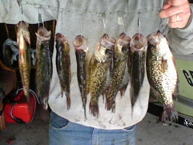 La Fayette fishing photo 5