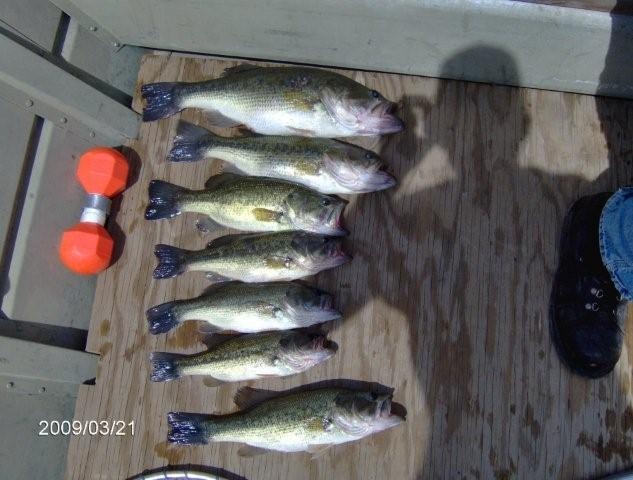 Oak Grove fishing photo 1