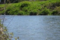 Kishwaukee River