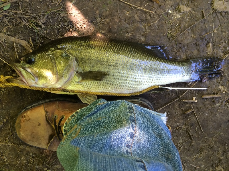 Fishing near Lake Ka-Ho in Macoupin County, Illinois - IL Fish Finder