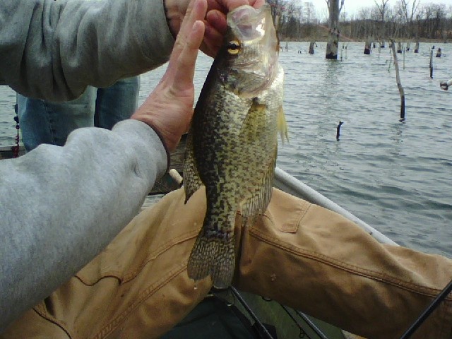 Windsor fishing photo 4