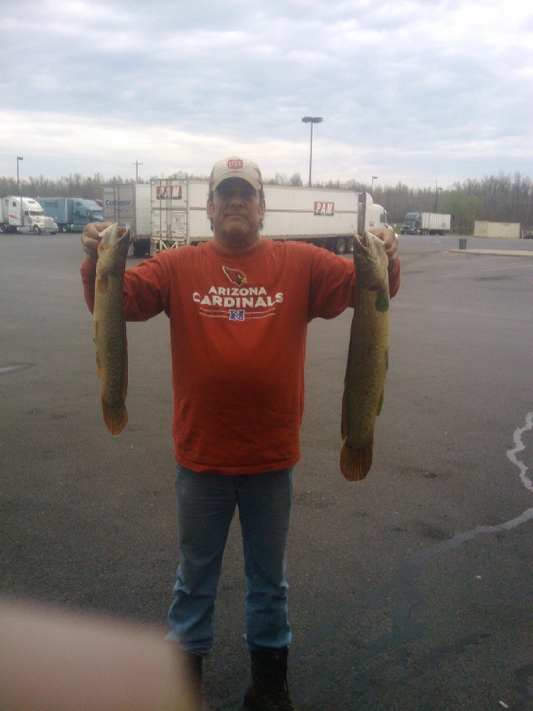 Bowfin in KY near Brookport